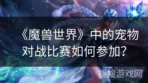 《魔兽世界》中的宠物对战比赛如何参加？