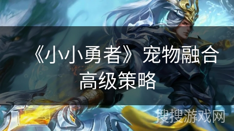 《小小勇者》宠物融合高级策略