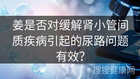 姜是否对缓解肾小管间质疾病引起的尿路问题有效？