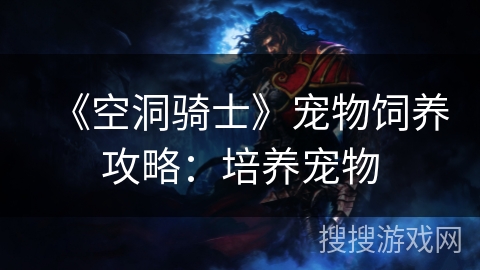 《空洞骑士》宠物饲养攻略：培养宠物