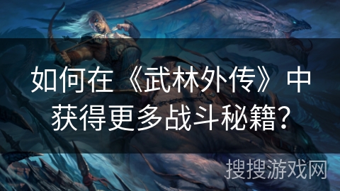 如何在《武林外传》中获得更多战斗秘籍？