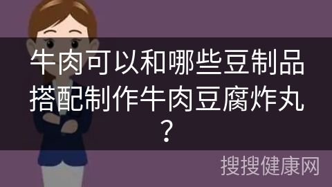 牛肉可以和哪些豆制品搭配制作牛肉豆腐炸丸？