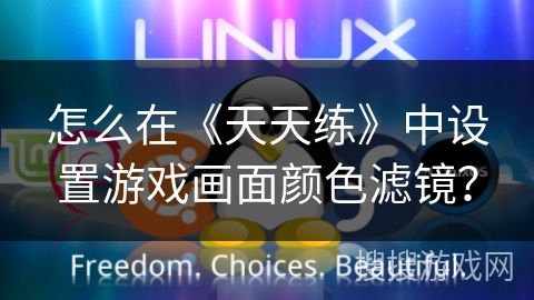 怎么在《天天练》中设置游戏画面颜色滤镜? 怎么在《天天练》中设置游戏画面颜色滤镜?