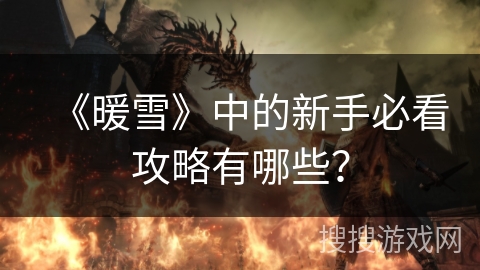 《暖雪》中的新手必看攻略有哪些？