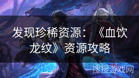 发现珍稀资源：《血饮龙纹》资源攻略