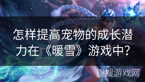 怎样提高宠物的成长潜力在《暖雪》游戏中? 怎样提高宠物的成长潜力在《暖雪》游戏中?