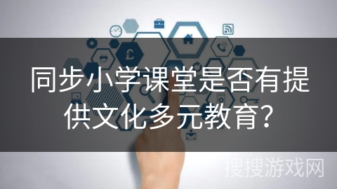 同步小学课堂是否有提供文化多元教育？