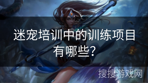 迷宠培训中的训练项目有哪些? 迷宠培训中的训练项目有哪些?
