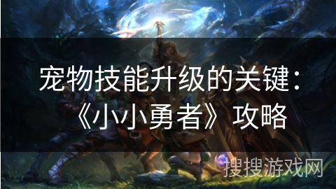 宠物技能升级的关键：《小小勇者》攻略
