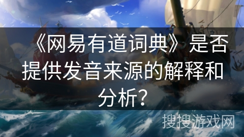 《网易有道词典》是否提供发音来源的解释和分析？