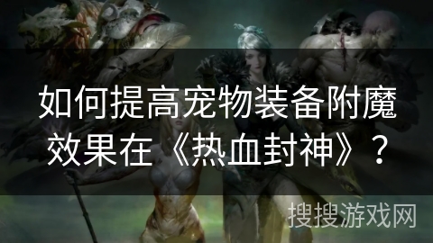如何提高宠物装备附魔效果在《热血封神》？