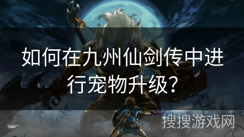 如何在九州仙剑传中进行宠物升级？