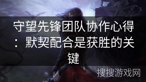 守望先锋团队协作心得：默契配合是获胜的关键