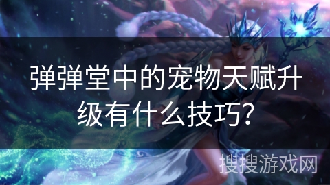 弹弹堂中的宠物天赋升级有什么技巧？