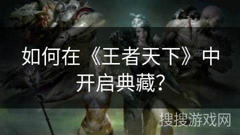 如何在《王者天下》中开启典藏？