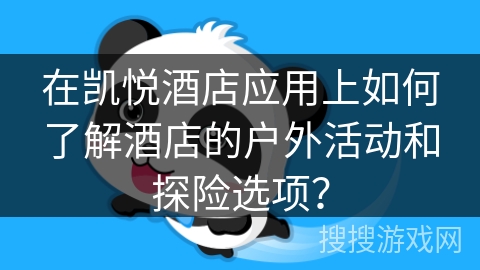 在凯悦酒店应用上如何了解酒店的户外活动和探险选项？