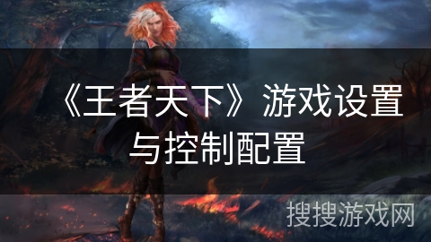 《王者天下》游戏设置与控制配置