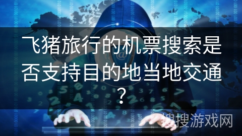 飞猪旅行的机票搜索是否支持目的地当地交通？