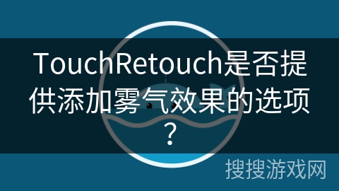 TouchRetouch是否提供添加雾气效果的选项？