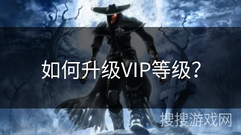 如何升级VIP等级？