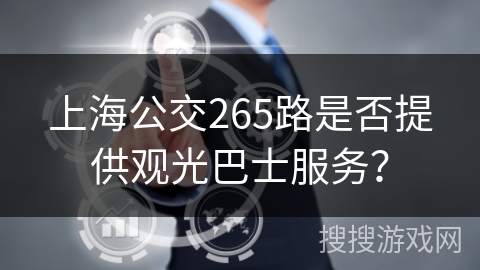 上海公交265路是否提供观光巴士服务？