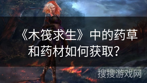 《木筏求生》中的药草和药材如何获取？