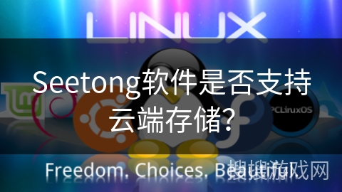 Seetong软件是否支持云端存储？