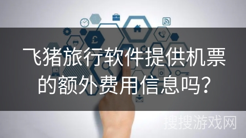 飞猪旅行软件提供机票的额外费用信息吗？