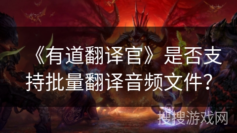 《有道翻译官》是否支持批量翻译音频文件？