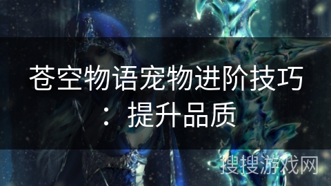 苍空物语宠物进阶技巧：提升品质