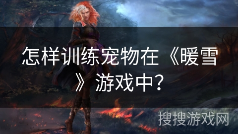 怎样训练宠物在《暖雪》游戏中？