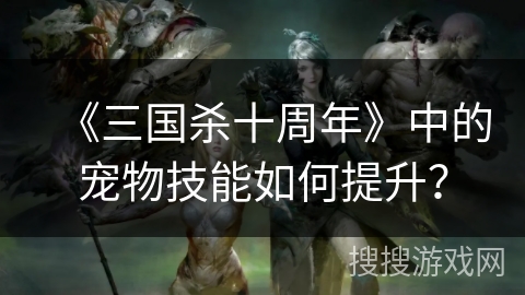 《三国杀十周年》中的宠物技能如何提升？