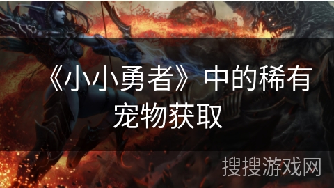 《小小勇者》中的稀有宠物获取