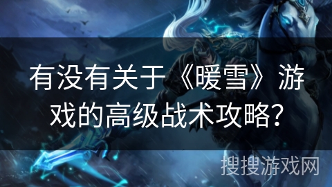 有没有关于《暖雪》游戏的高级战术攻略？
