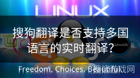 搜狗翻译是否支持多国语言的实时翻译？