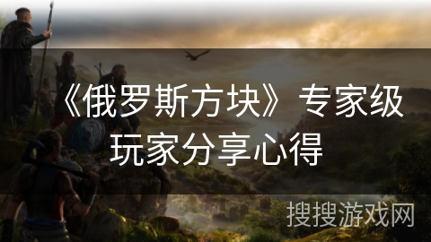 《俄罗斯方块》专家级玩家分享心得