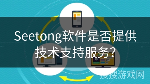 Seetong软件是否提供技术支持服务？