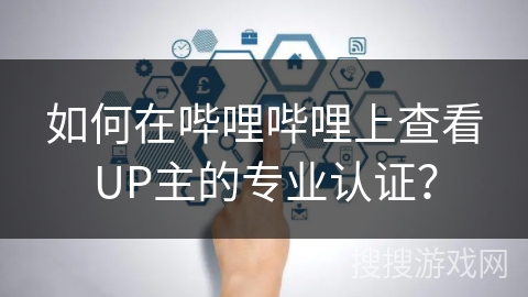 如何在哔哩哔哩上查看UP主的专业认证？
