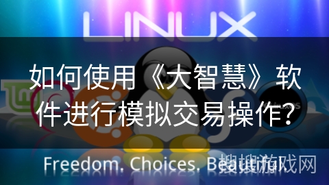 如何使用《大智慧》软件进行模拟交易操作？