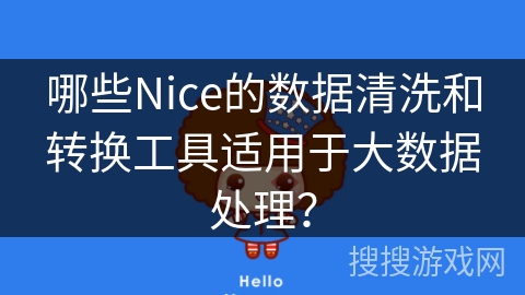 哪些Nice的数据清洗和转换工具适用于大数据处理？