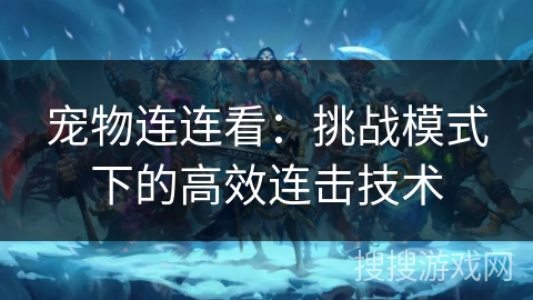 宠物连连看：挑战模式下的高效连击技术