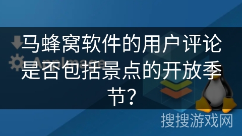 马蜂窝软件的用户评论是否包括景点的开放季节？