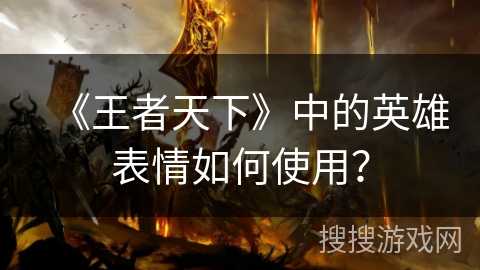 《王者天下》中的英雄表情如何使用？
