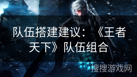 队伍搭建建议:《王者天下》队伍组合 队伍搭建建议:《王者天下》队伍组合