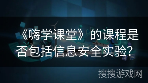 《嗨学课堂》的课程是否包括信息安全实验？