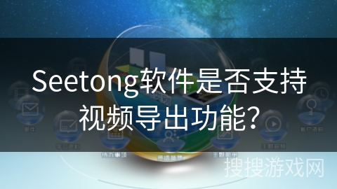Seetong软件是否支持视频导出功能？