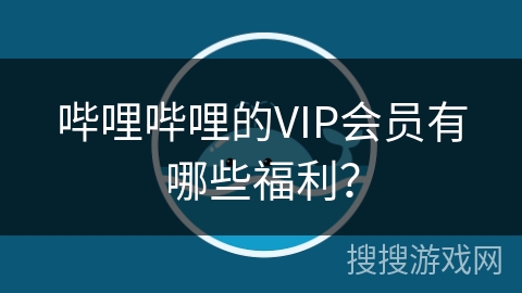 哔哩哔哩的VIP会员有哪些福利？
