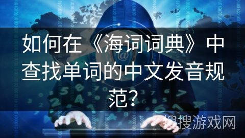 如何在《海词词典》中查找单词的中文发音规范？