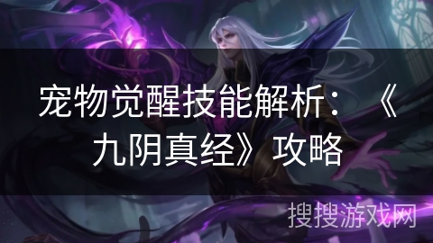 宠物觉醒技能解析：《九阴真经》攻略