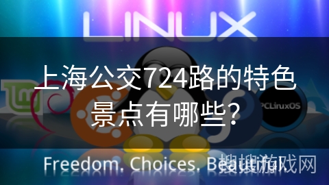 上海公交724路的特色景点有哪些？